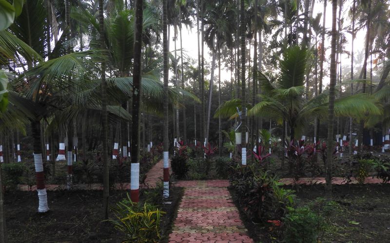 Walking pathway at Dhamma Vatika
